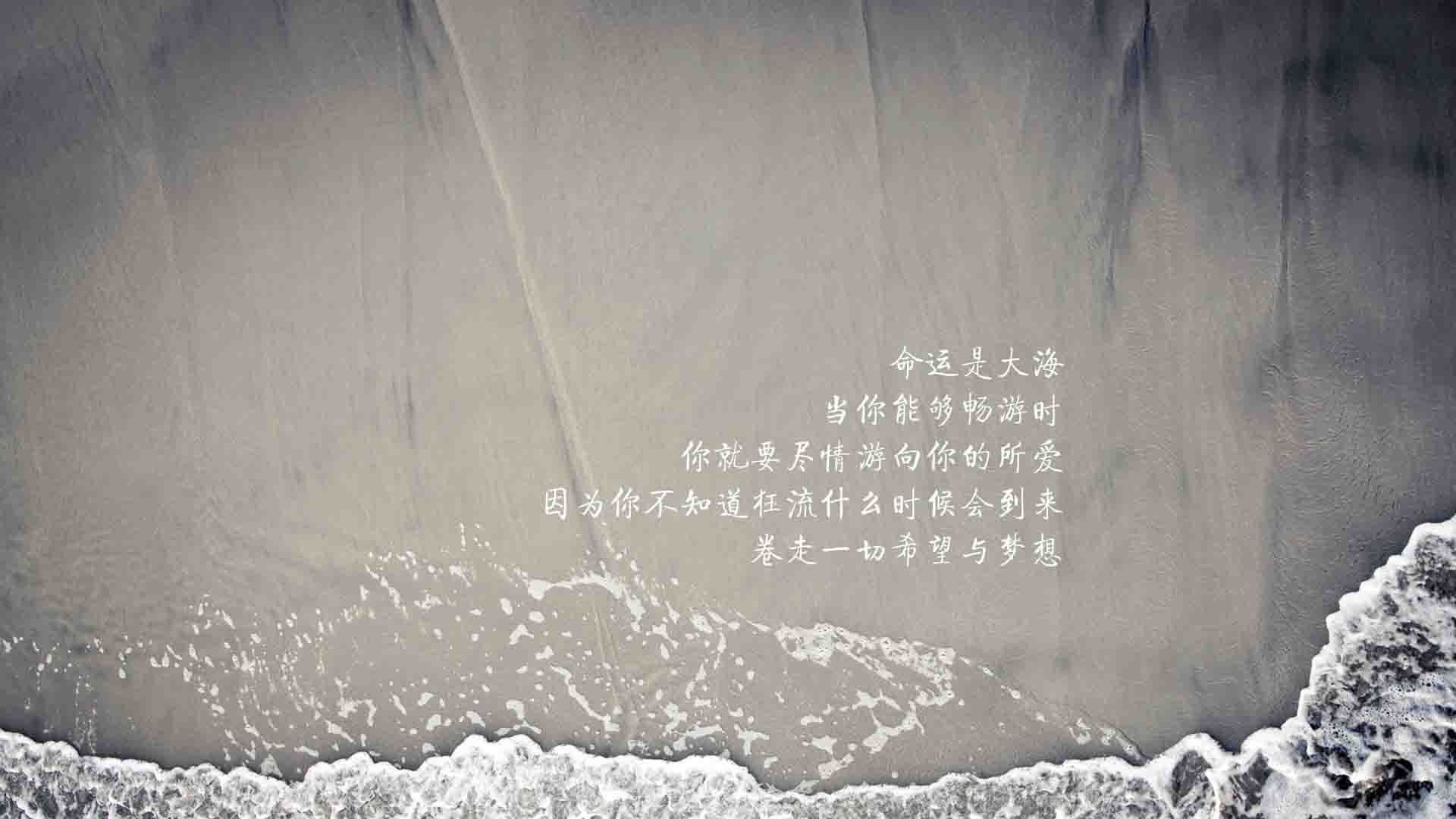 ai人工智能是什么意思（ai新手入门教程）